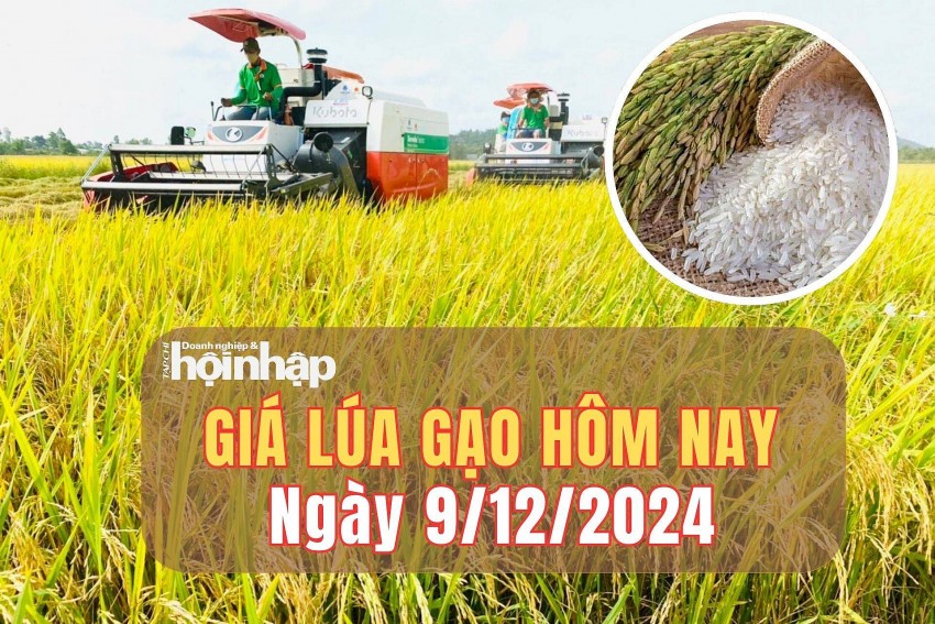 Giá lúa gạo hôm nay 9/12/2024: