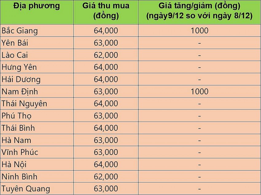 Giá heo hơi hôm nay 9/12/2024: