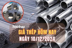 Giá thép hôm nay 10/12: Thép trong nước biến động nhẹ, thép quốc tế giảm phiên thứ 5 liên tiếp