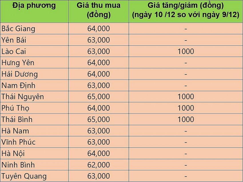 Giá heo hơi hôm nay 10/12/2024: