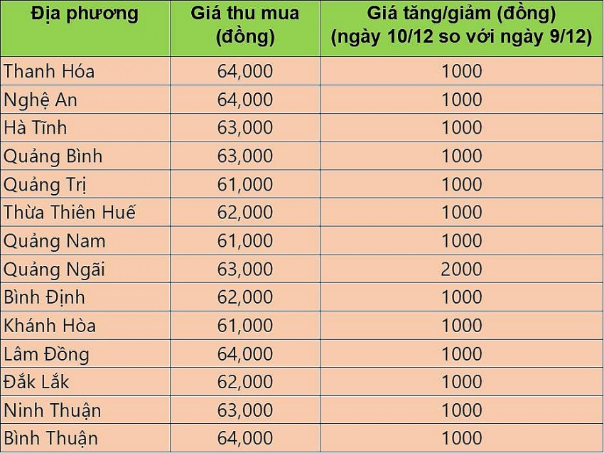 Giá heo hơi hôm nay 10/12/2024: