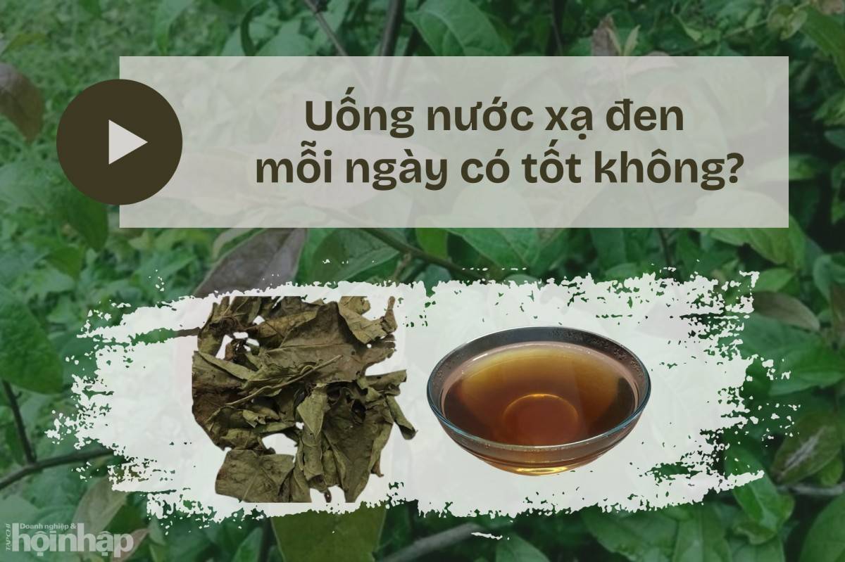 Uống nước xạ đen mỗi ngày có tốt cho sức khoẻ không?