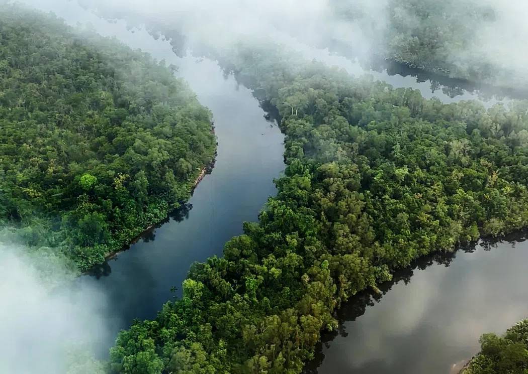 Thị trường carbon ASEAN có thể đạt doanh thu 3.000 tỷ USD vào năm 2050 Thị trường carbon ASEAN có thể đạt doanh thu 3.000 tỷ USD vào năm 2050