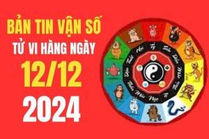 Tử vi - Vận số ngày 12/12/2024:  Mão, Ngọ, Dần, Tuất được hưởng tài lộc, cải thiện về tài chính, may mắn trong công việc