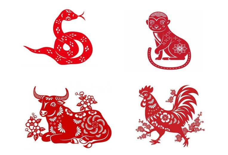 Tử vi - Vận số ngày 13/12/2024: Các tuổi Tỵ, Thân, Sửu, Dậu có thể đối mặt với nhũng thách thức cảm xúc, rắc rối trong chuyện tình cảm