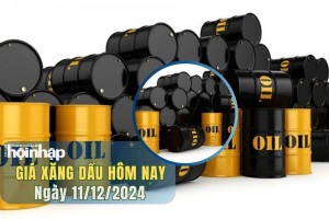 Giá xăng dầu hôm nay 11/12: Giá dầu WTI và Brent tiếp đà tăng