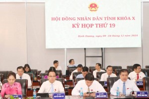 Lãnh đạo tỉnh Bình Dương trả lời chất vấn về giáo dục - đào tạo và văn hóa - du lịch