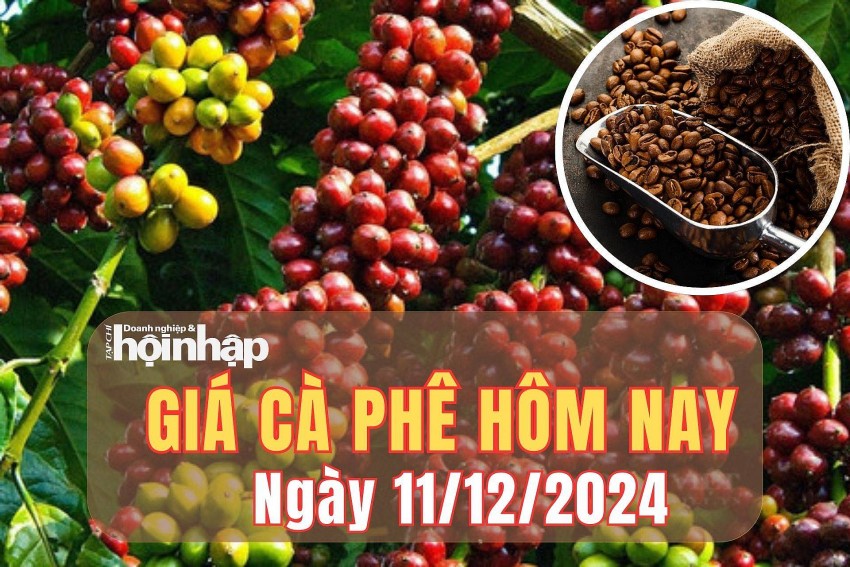 Giá cà phê hôm nay 11/12/2024: Giá cà phê hôm nay 11/12/2024: