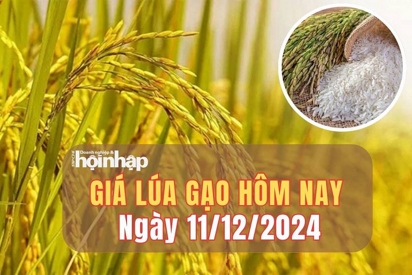 Giá lúa gạo hôm nay 11/12/2024: