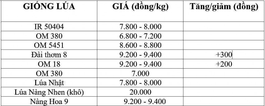 Giá lúa gạo hôm nay 11/12/2024