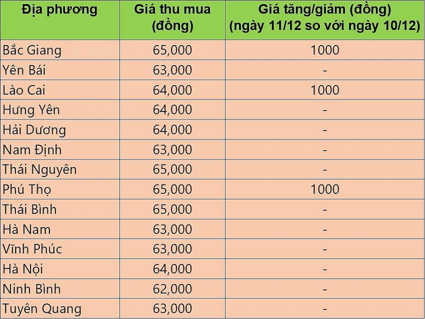 Giá heo hơi hôm nay 11/12/2024: