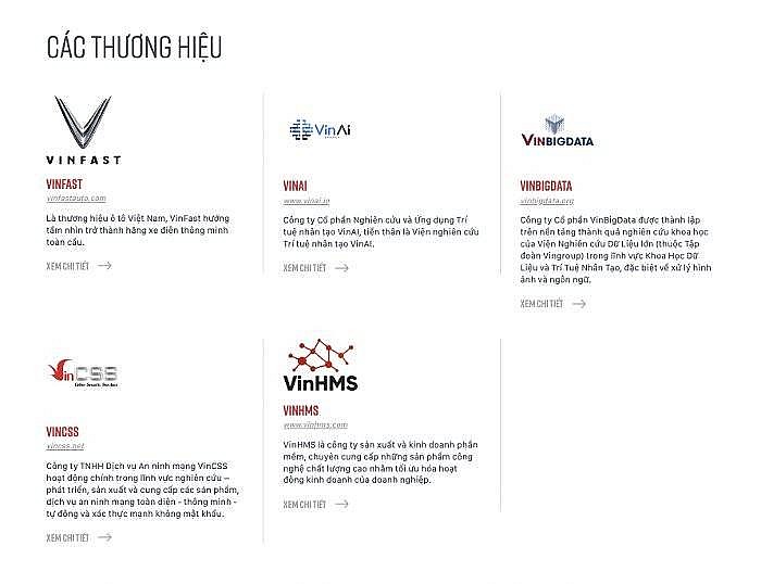 Hệ sinh thái công nghệ của Vingroup còn gì sau thương vụ bán VinBrain cho Nvidia?