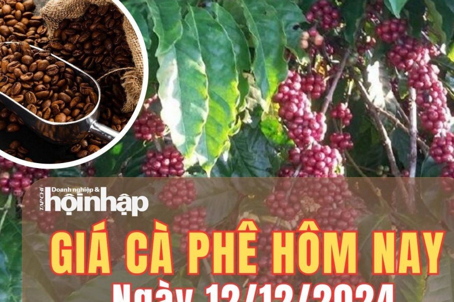 Giá cà phê hôm nay 12/12/2024: Tại sàn London và New York, giá cà phê Robusta và Arabica đồng loạt giảm