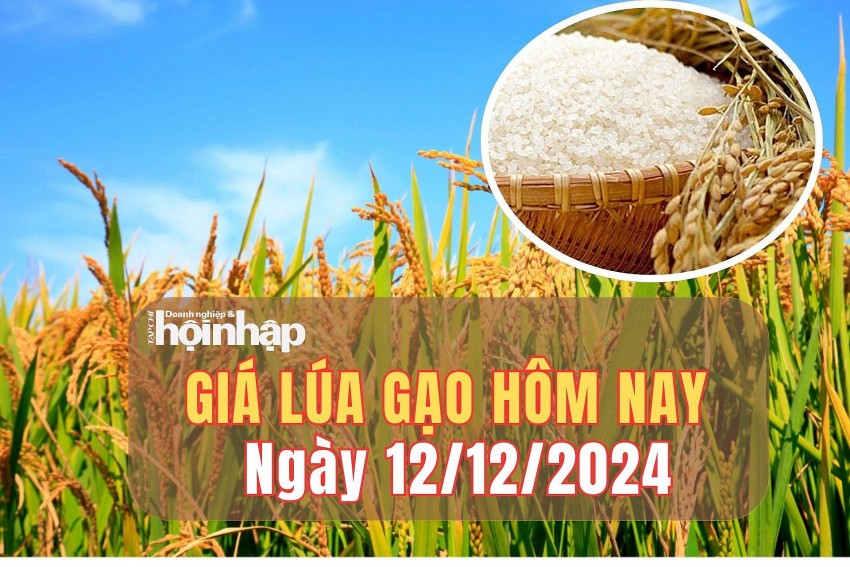 Giá lúa gạo hôm nay 12/12/2024: