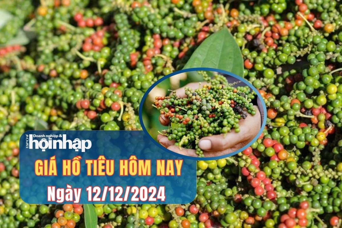 Giá tiêu hôm nay 12/12: Giá tiêu hôm nay 12/12: