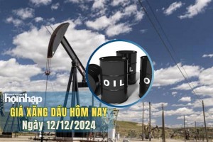 Giá xăng dầu hôm nay 12/12/2024: Giá dầu WTI và Brent tăng mạnh