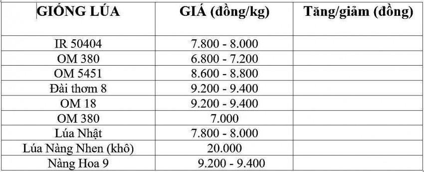 Giá lúa gạo hôm nay 12/12/2024: