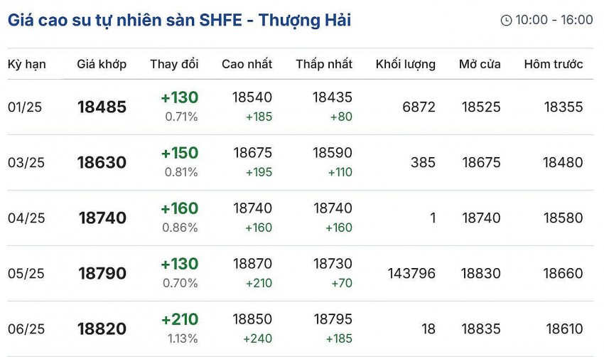 Giá cao su hôm nay 12/12/2024: Giá cao su hôm nay 12/12/2024: