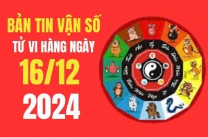 Tử vi - Vận số ngày 16/12/2024: Tuổi nào sẽ được chính quan nâng đỡ, tam hội che trở, chính tài hỗ trợ