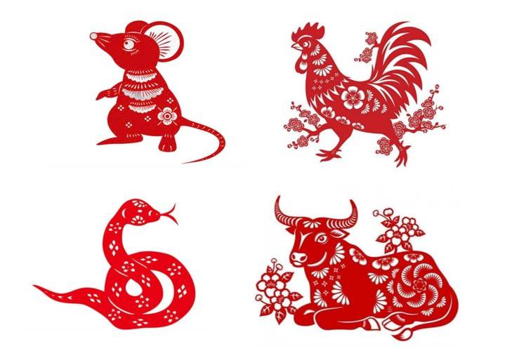 Tử vi - Vận số ngày 15/12/2024: Các tuổi Tý, Dậu, Tỵ, Sửu có vận trình về công danh sự nghiệp, tình duyên rất tốt đẹp