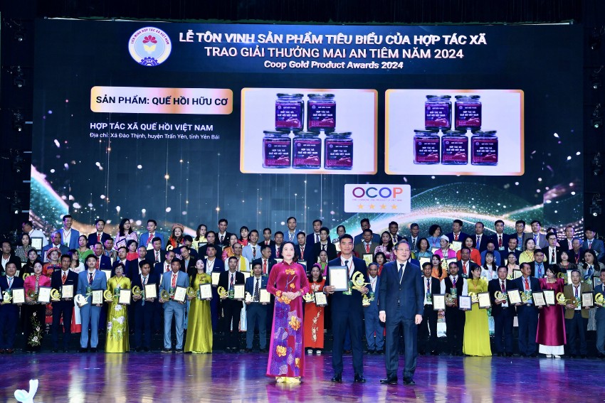 Các sản phẩm Quế hữu cơ của HTX Quế hồi Việt Nam được bầu chọn sản phẩm Mai An Tiêm năm 2024 Yên Bái có 2 sản phẩm đoạt giải giải thưởng Mai An Tiêm năm 2024