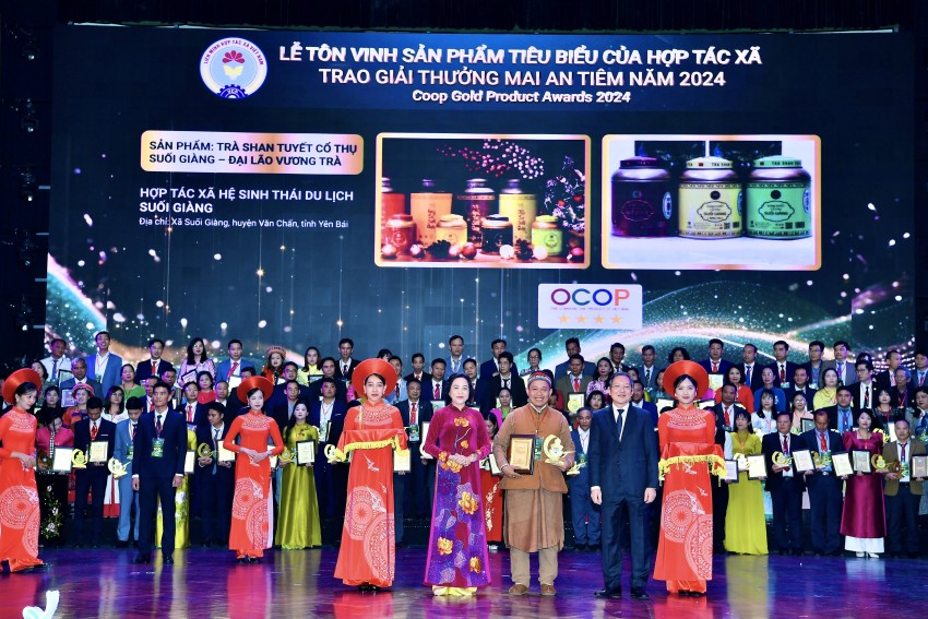 Sản phẩm Mai An Tiêm năm 2024 – Đại Lão Vương Trà của HTX Hệ sinh thái du lịch Suối Giàng đã vinh dự được làm quà tặng của Chủ tịch nước Lương Cường tặng cho Quốc vương Campuchia Norodom Sihamoni Yên Bái có 2 sản phẩm đoạt giải giải thưởng Mai An Tiêm năm 2024