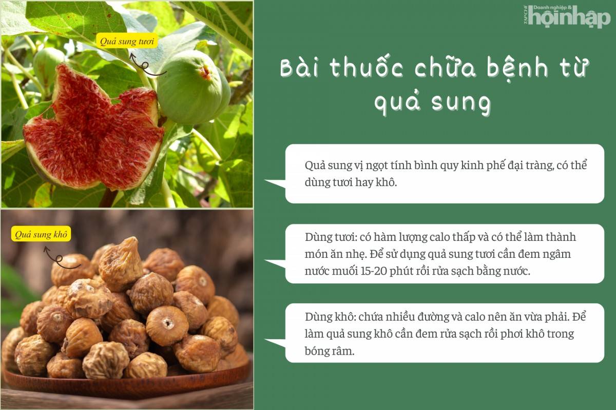 Bài thuốc chữa bệnh từ quả sung