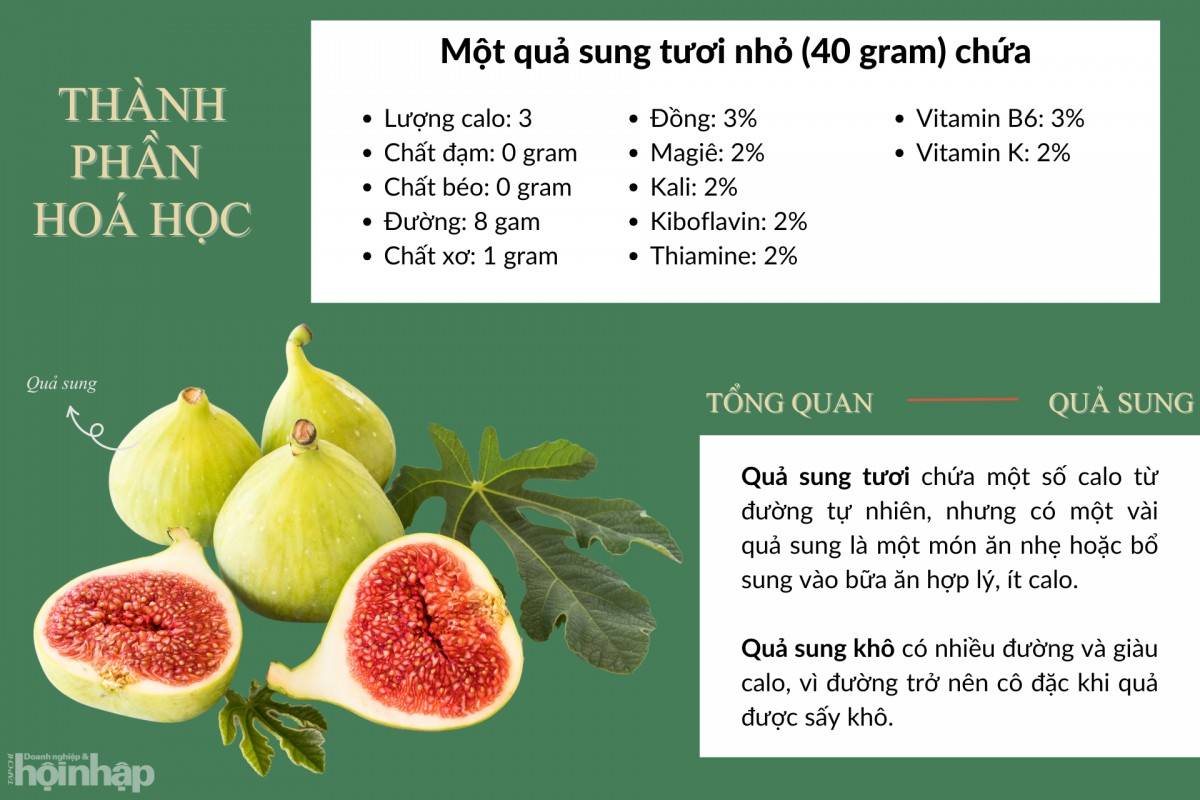 Tổng quan và thành phần hoá học của quả sung
