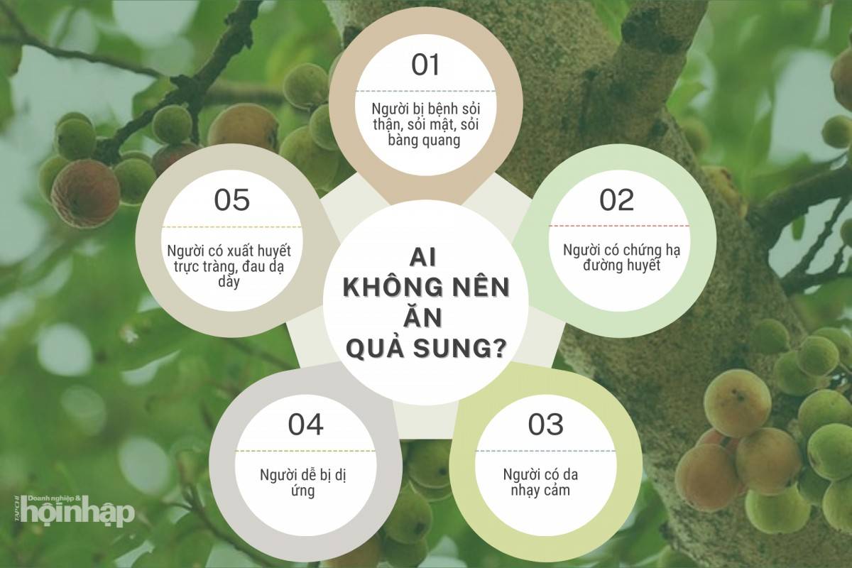 Ai không nên ăn quả sung?
