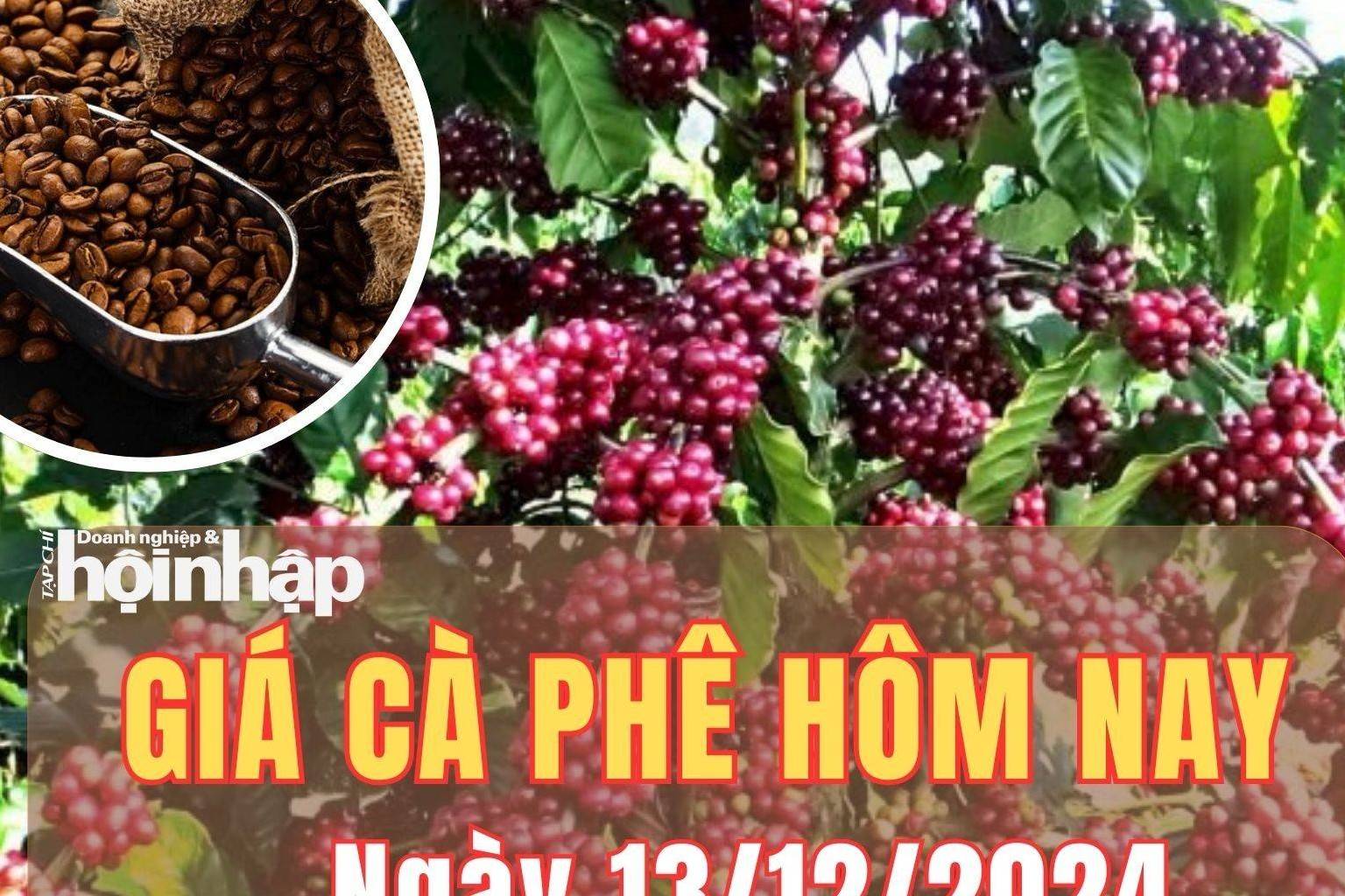 Giá cà phê hôm nay 13/12/2024: Giá cà phê trong nước quay đầu giảm từ 1.700 - 2.000 đồng/kg