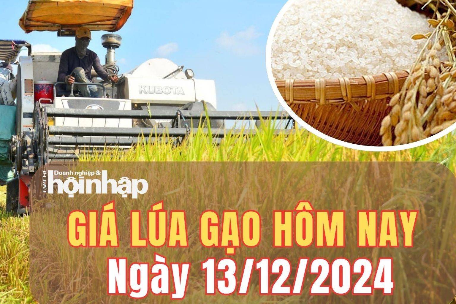 Giá lúa gạo hôm nay 13/12/2024: Giá lúa gạo trong nước và xuất khẩu giảm