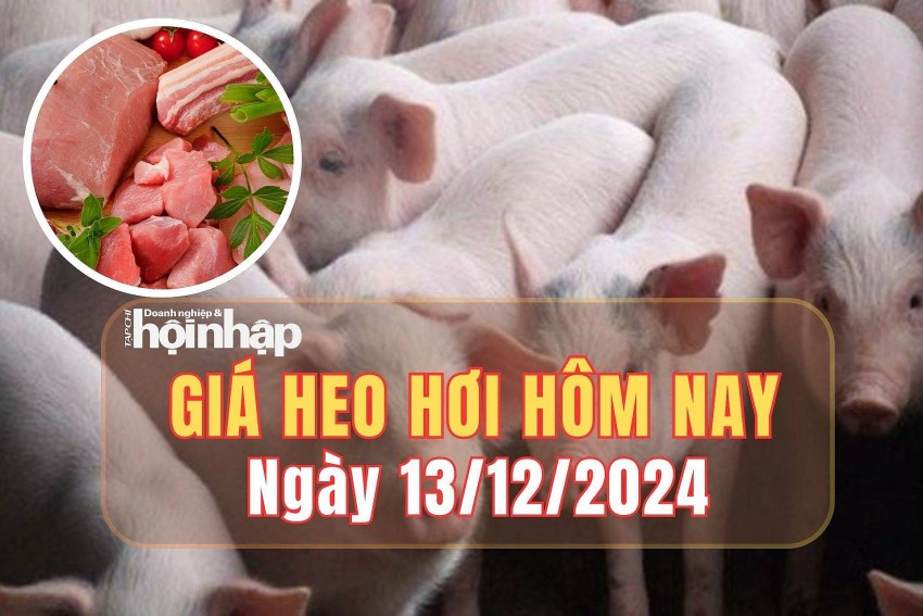 Giá heo hơi hôm nay 13/12/2024: Giá heo hơi tại miền Nam tăng 1.000 đồng/kg