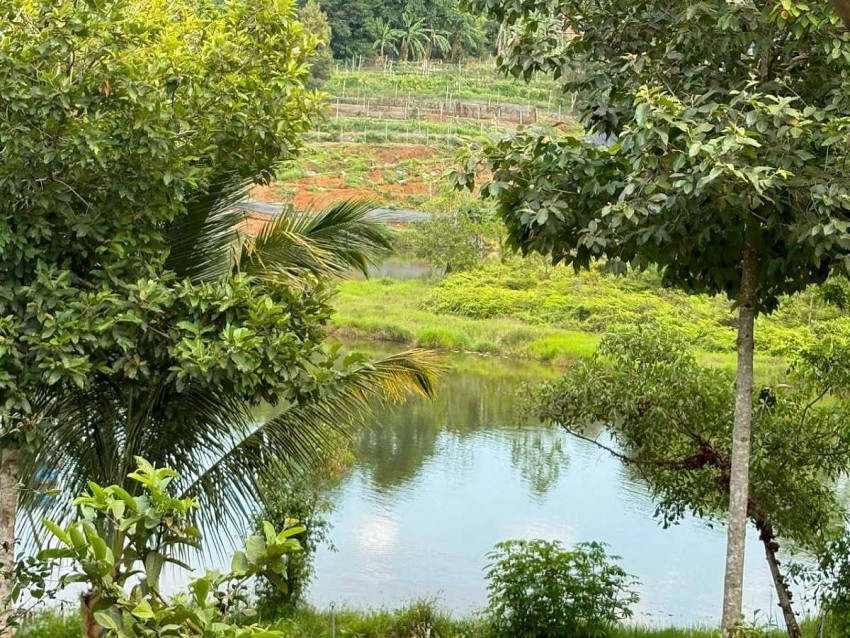 Đắk Nông tăng tốc hoàn thiện các văn bản quy phạm pháp luật về đất đai