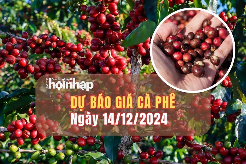 Dự báo giá cà phê 14/12/2024