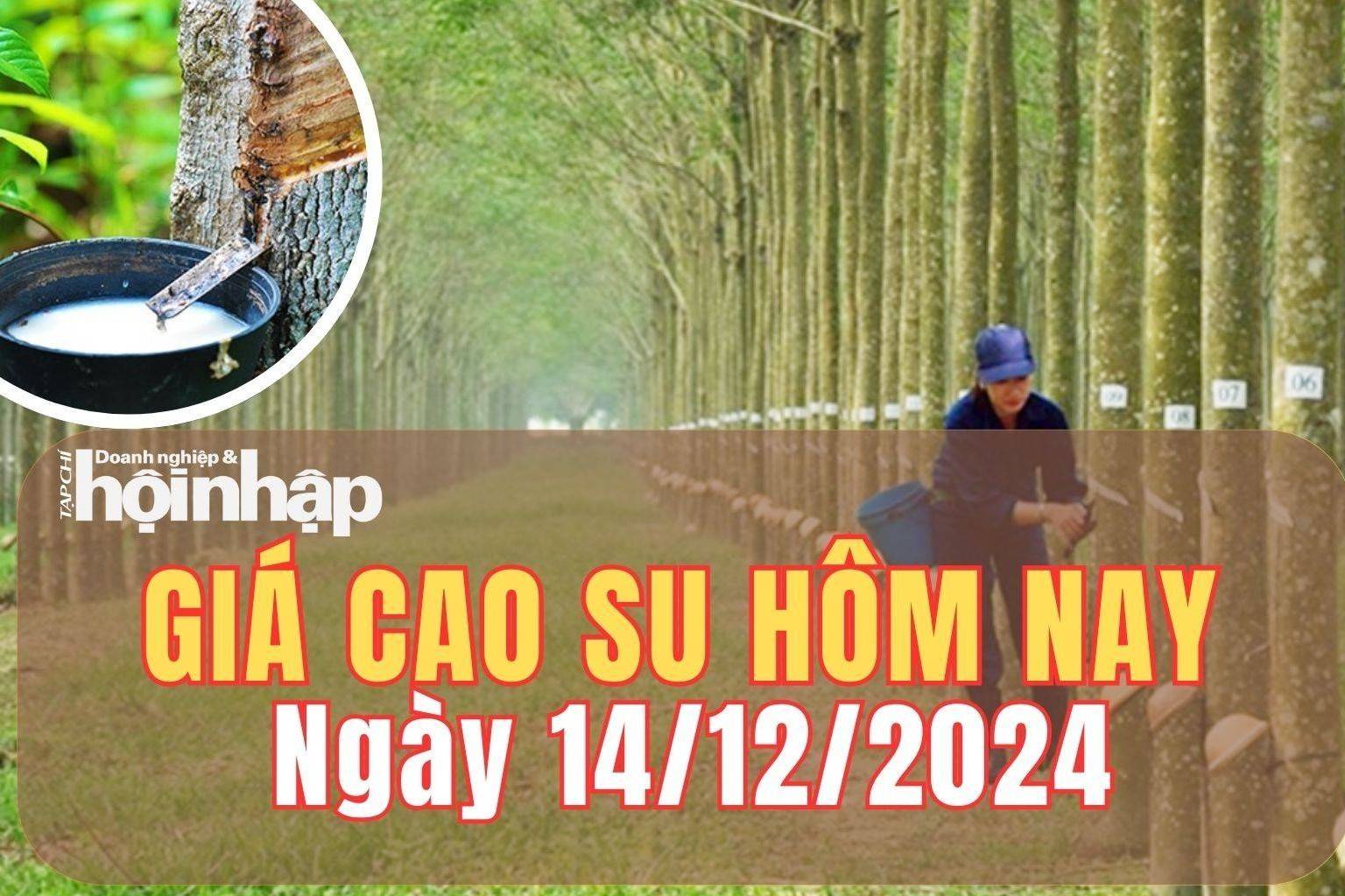 Giá cao su hôm nay 14/12/2024: Giá cao su tăng - giảm trái chiều trên sàn SHFE