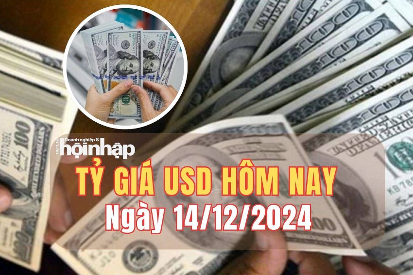 Tỷ giá USD hôm nay 14/12/2024: