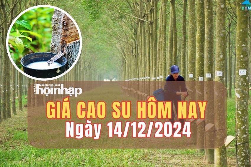 Giá cao su hôm nay 14/12/2024: Giá cao su tăng - giảm trái chiều trên sàn SHFE. Giá cao su hôm nay 14/12/2024: Giá cao su tăng - giảm trái chiều trên sàn SHFE.