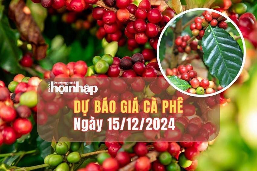 Dự báo giá cà phê 15/12: Cà phê trong nước dự báo tăng nhẹ