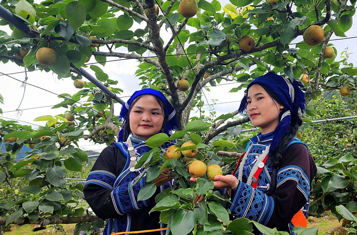 Lào Cai: Huyện Bát Xát phát triển đúng trọng tâm, nâng cao đời sống người dân Lào Cai: Huyện Bát Xát phát triển đúng trọng tâm, nâng cao đời sống người dân