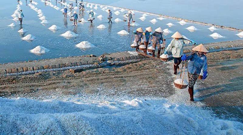 Muối Bạc Liêu không chỉ được nhiều người ưa chuộng, sử dụng rộng rãi trong nước mà còn được xuất khẩu, nhất là thị trường Nhật Bản, Hàn Quốc... 