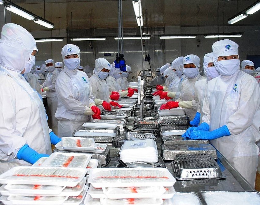 VASEP kiến nghị gỡ vướng thủ tục hoàn thuế VAT cho doanh nghiệp thủy sản VASEP kiến nghị gỡ vướng thủ tục hoàn thuế VAT cho doanh nghiệp thủy sản