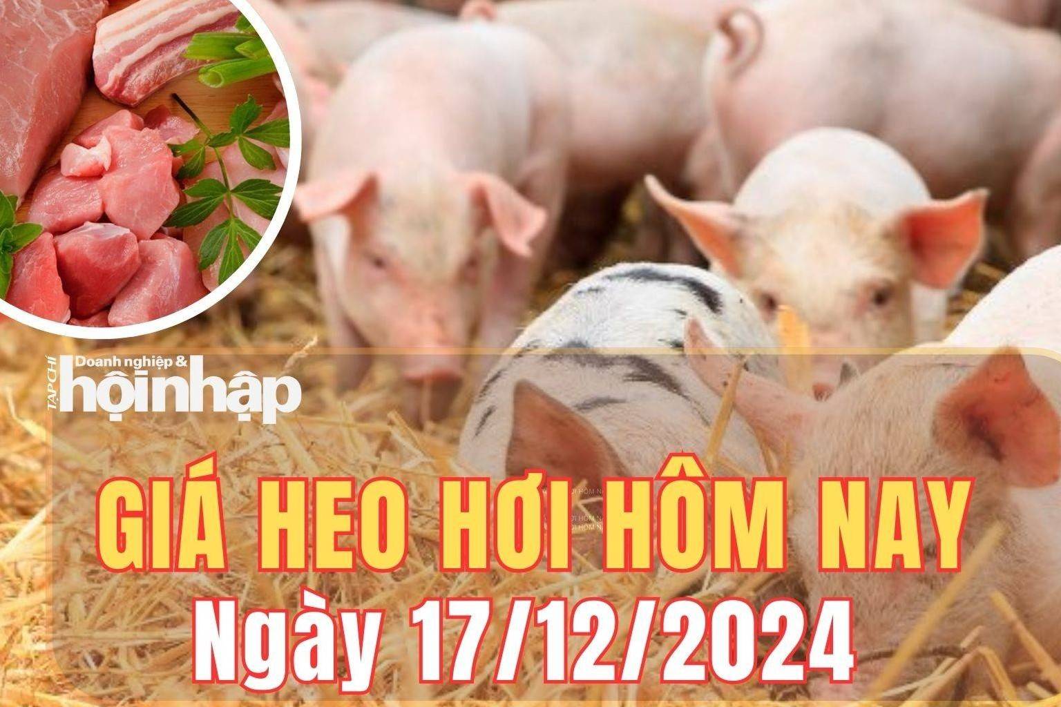 Giá heo hơi hôm nay 17/12/2024: Giá heo hơi tăng từ 1.000 - 2.000 đồng/kg tại nhiều địa phương trên cả nước