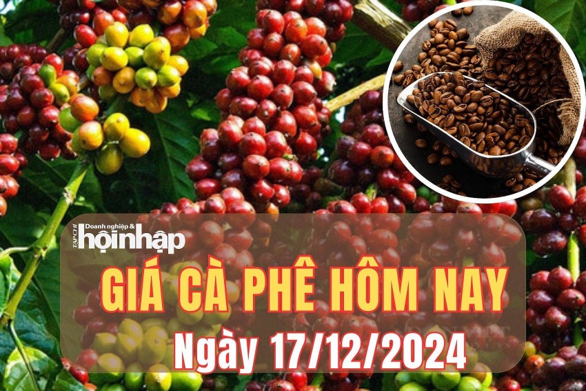 Giá cà phê hôm nay 17/12/2024: