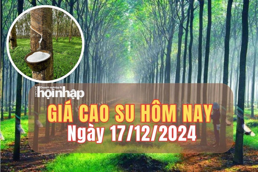 Giá cao su hôm nay 17/12/2024: Giá cao su hôm nay 17/12/2024: