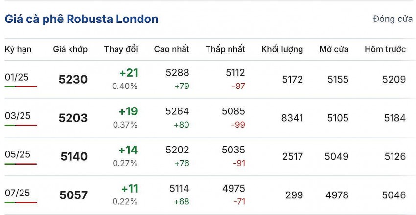 Giá cà phê hôm nay 17/12/2024: