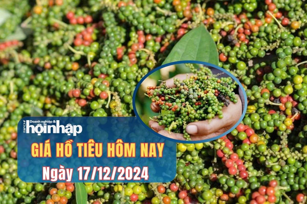 Giá tiêu hôm nay 17/12:
