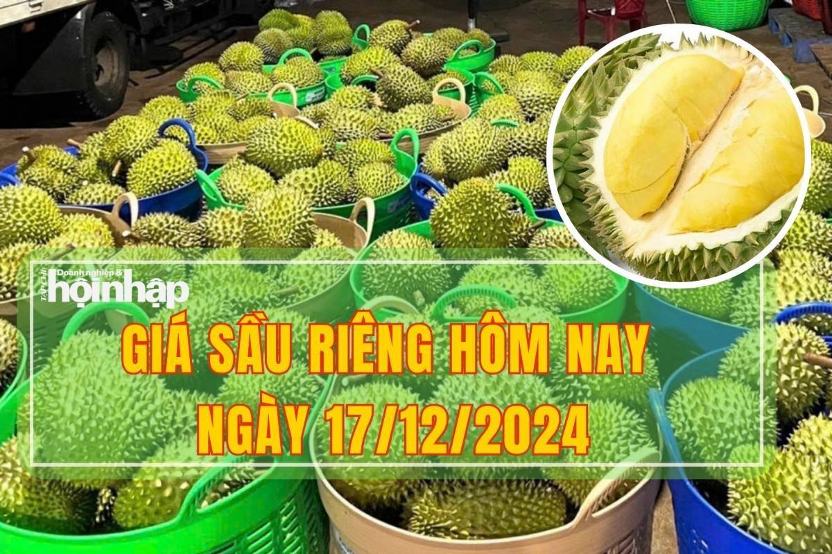 Giá sầu riêng hôm nay 17/12: Sầu riêng Thái tăng, đạt mức 155.000 đồng/kg