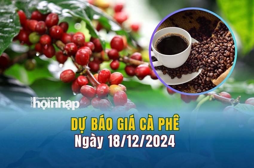 Dự báo giá cà phê 18/12: Cà phê trong nước có xu hướng giảm nhẹ