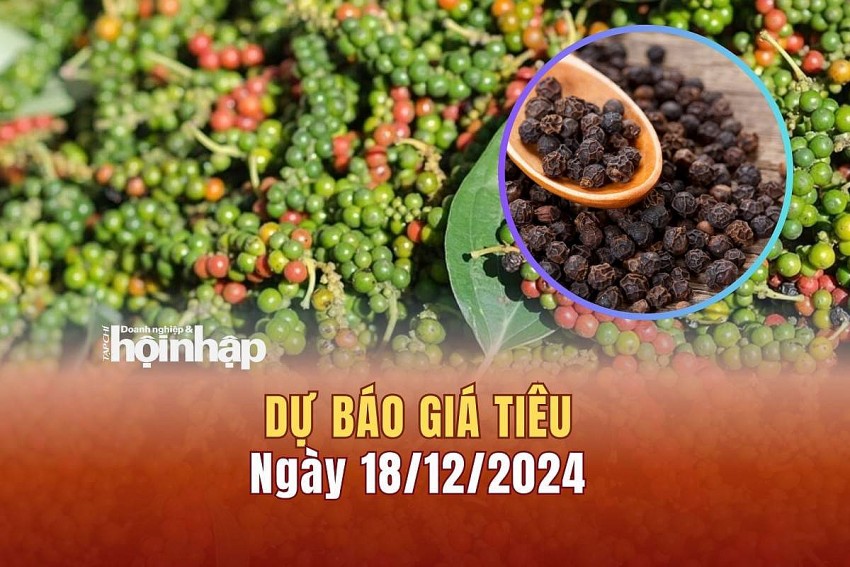 Dự báo giá tiêu 18/12/2024