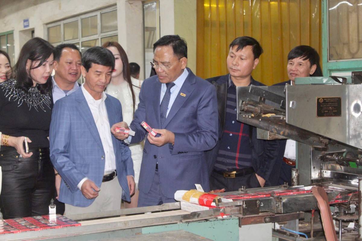 Đại diện ban giám đốc Công ty TNHH Công nghiệp Intco Việt Nam giới thiệu về quy trình sản xuất cho các doanh nghiệp hội viên.